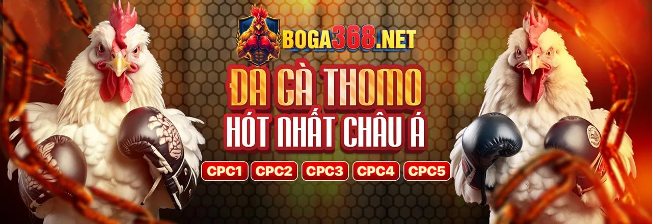 Đá gà trực tuyến sôi động tại GG8816 Trang Chủ